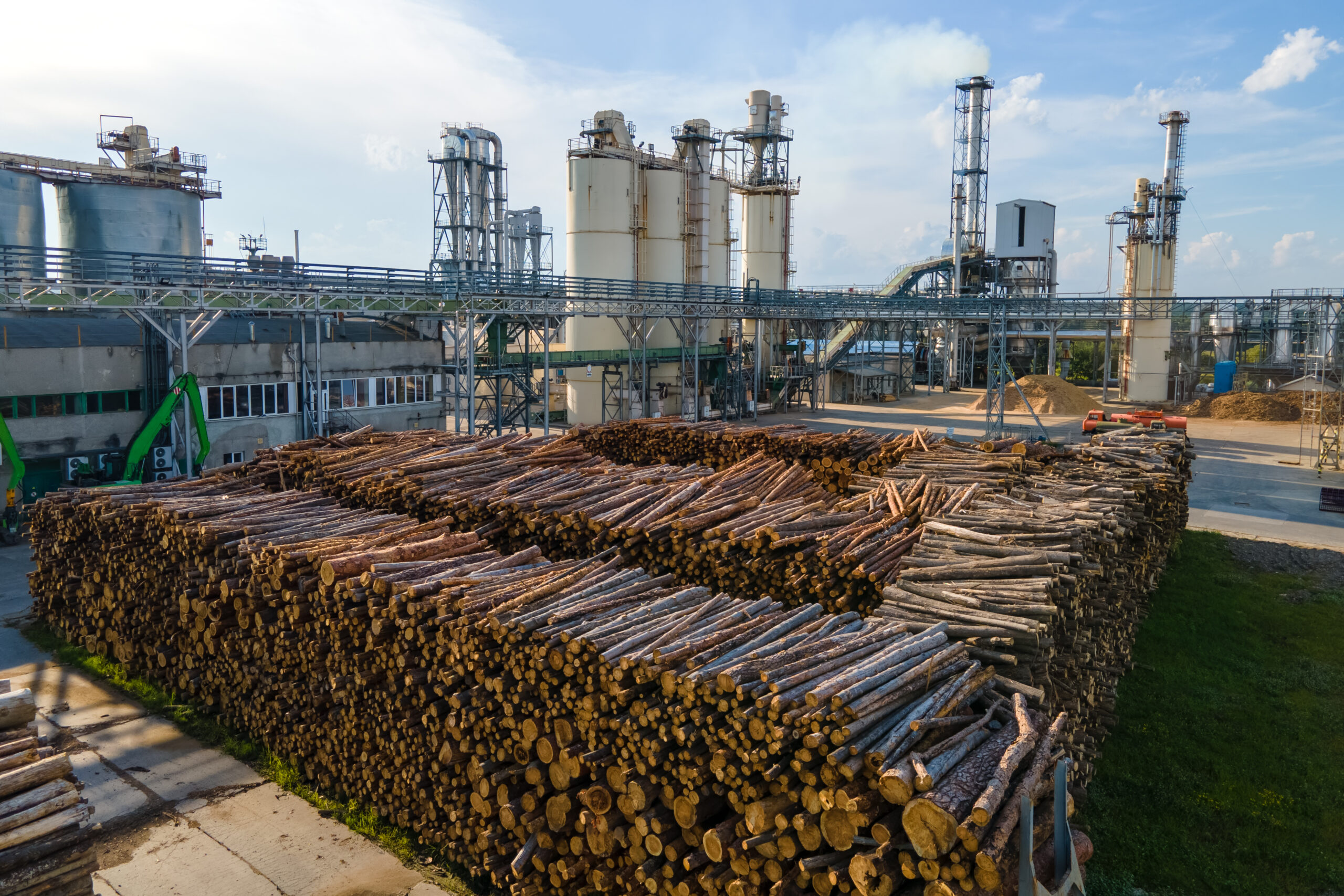 Biomass Plants