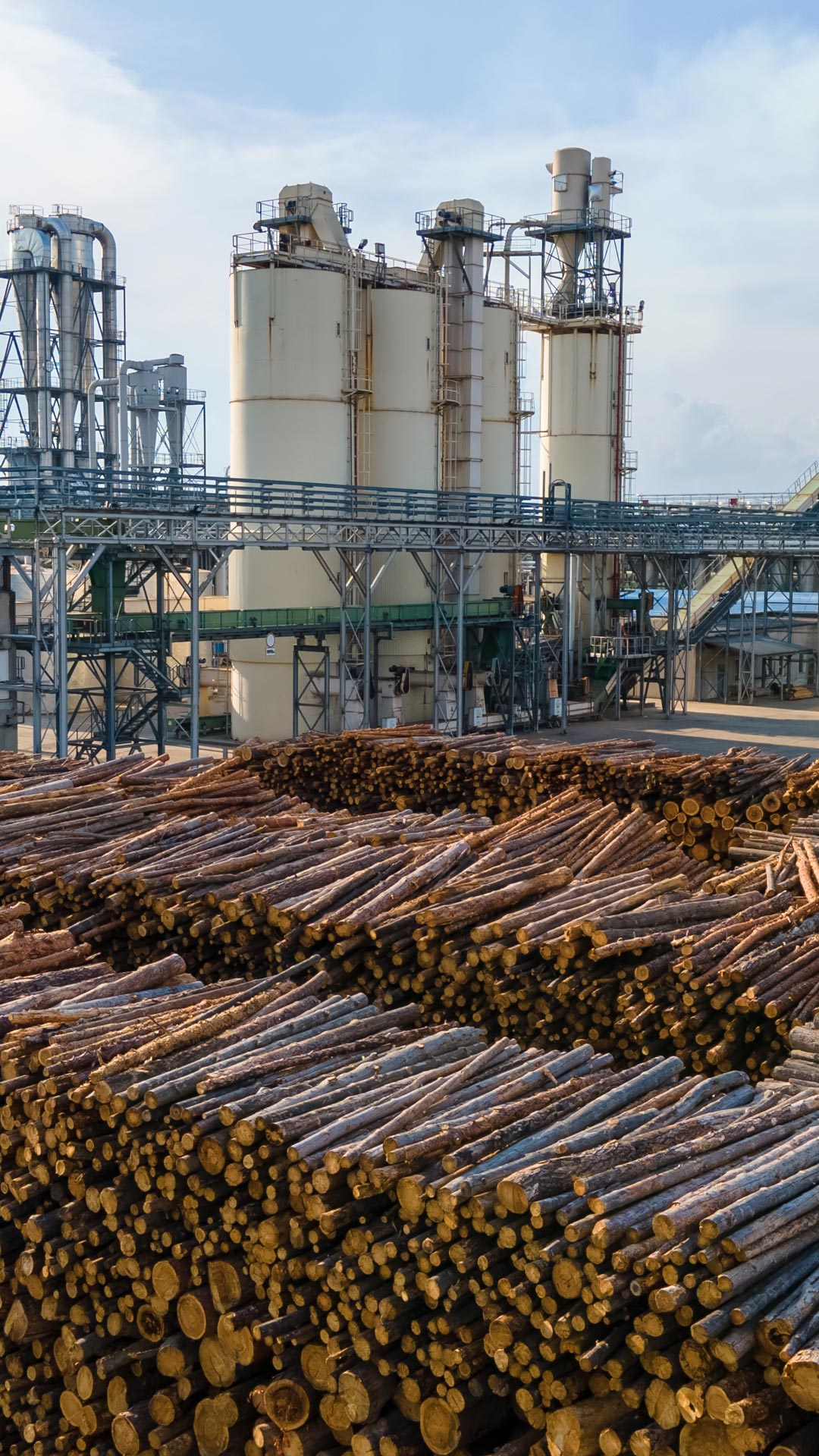 Biomass Plants